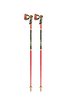 Leki Skistock WCR TBS SL 3D