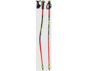 Leki Skistock WCR Evo Lite GS TR