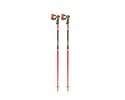 Leki Skistock WCR TBS SL 3D