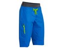 Palm Horizon Shorts