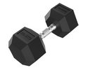 Tunturi Platinum Hexagon Kurzhantel 22.5 kg Schwarz mit Silber