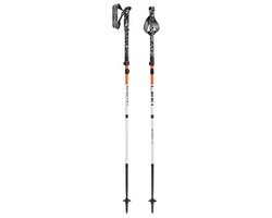Leki  Skysolo FX Carbon