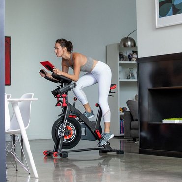 Schwinn Indoor Cycle 800IC 