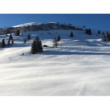 Tourenskiset 