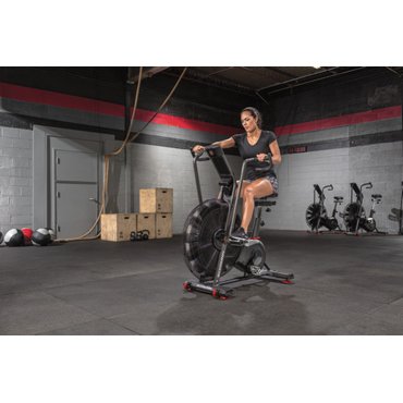 Schwinn AD8 Airdyne Bike 