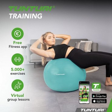 Tunturi Gymnastik Fitnessball 65 cm 