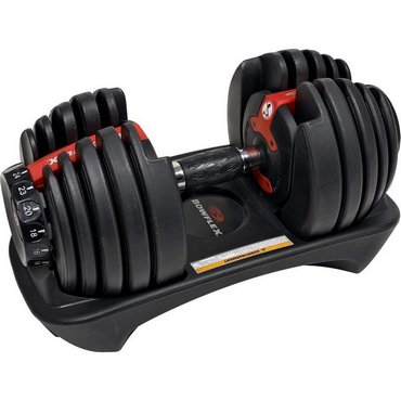 Bowflex Selecttech 552i Hantelsystem 
