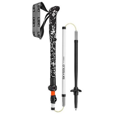 Leki  Skysolo FX Carbon 
