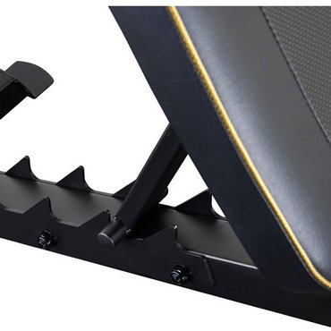 Tunturi UB100 Centuri Hantelbank mit Bauch- und Beintrainer Schwarz mit Gold 