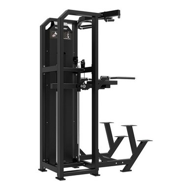 Tunturi Platinum Dual Assisted Chin Up & Dip- Klimmzugstation Schwarz 