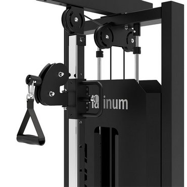 Tunturi Platinum Single Station mit Gewichtsstapel Schwarz 