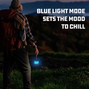 LED Laterne Sprout + 